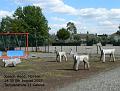 2007-0808JosephHood