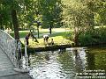 2007-0810MordenHall
