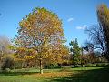 2007-1106_1200_Morden_Hall_Park_11_C_