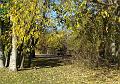 2007-1109_1200_Cannon_Hill_Common_10_C