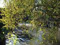2007-1129_1130_Merton_Abbey_Mills_10_C