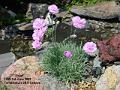 2007-06_June