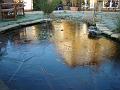 sm-2008-0211_0800_Frozen_Pond_-_0.9_C