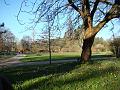 sm-2008-0216_1440_Wisley_6_C