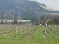 sm-2008-0219_1440_Denbies_7_C