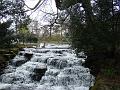 2008-0312_1400_Carshalton_Ponds_10_C