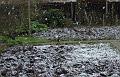 2008-0323_1020_Snow_1.2_C