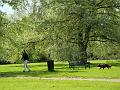2008-0502_1545_Cannon_Hill_Common_15_C