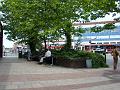 2008-0617_Morden_1315_19_C