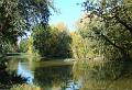 2008-1012_1300_Cannon_Hill_Common_20C