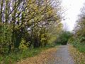 2008-1113_1300_Merton_Abbey_Mills_9C