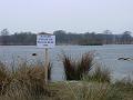 2009-0107_1215_Richmond_Park_1C