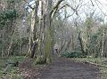 2009-0120_1340_Morden_Park_8C