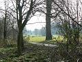 2009-0130_1130_Cannon_Hill_Common_7C