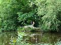 2009-0528-Cannon_Hill_Common_1630-22C