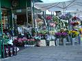 2009-0530-Wimbledon_Chase_1210-22C