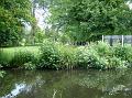 2009-0608-Morden_Hall_Park-1330-16C