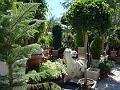 2009-0710_Churriana_Spain_1230_23C