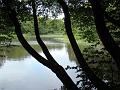 2009-0820-1335_Southern_Ansty_West_Sussex_20C