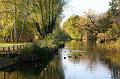 2009-1109-1440_Cannon_Hill_Common_8C