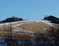 2009-1222-1420_Box_Hill_3C