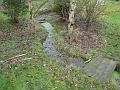 2010-0118-1315_Winter_5.7C