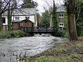 2010-0228-1245_Morden_Hall_Park-5C