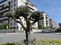 2010-0526-1230_Malaga_Spain_24C
