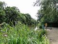 2010-0703-1130_Cannon_Hill_Common_22C