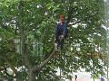 2010-0804-1050_Morden_19C