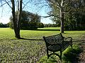 2010-1020-1513_Cannon_Hill_Common_9C