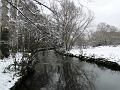 2010-1219-1055_Morden_Hall_Park_-0C