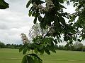 2010-05_May
