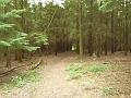 Trip_to_Yalding-j