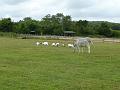 Trip_to_Yalding-l