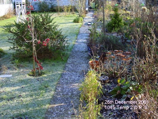 Snow occurred on several occasions during 2001 but it rarely covered the ground in London