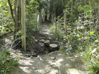 Pass with difficulty