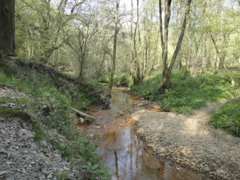 Iron-filled stream